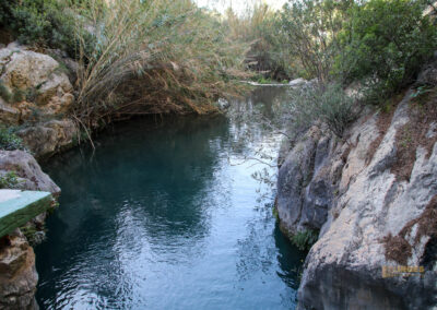 fonts de algar_2369