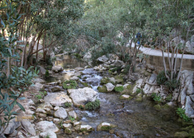 fonts de algar_2373