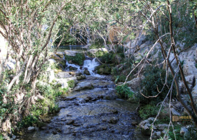 fonts de algar_2398