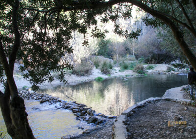 fonts de algar_2533