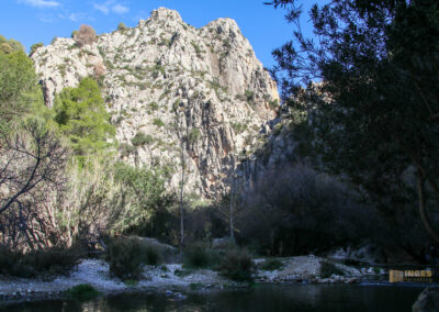 fonts de algar_2547