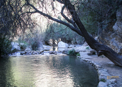 fonts de algar_2574