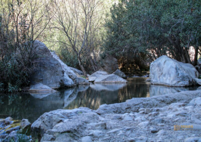 fonts de algar_2586