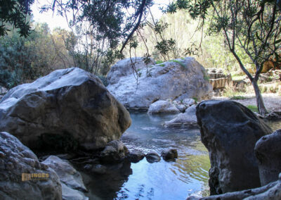 fonts de algar_2617