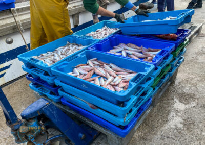 hafen calpe_0295