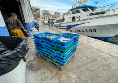 hafen calpe_0308