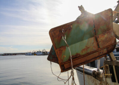 hafen calpe_0811