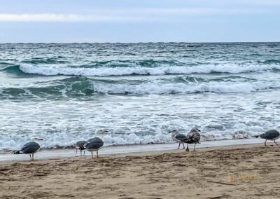 playa arenal bol calpe 0425