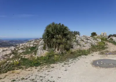 coll de rates_0040