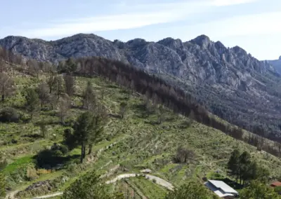 coll de rates_0049