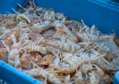 fisch direkt vom schiff lonja in calpe_5788