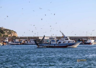fischerhafen calpe_5755