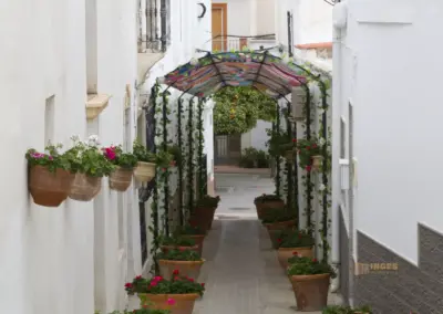 lucainena de las torres andalusien_2429