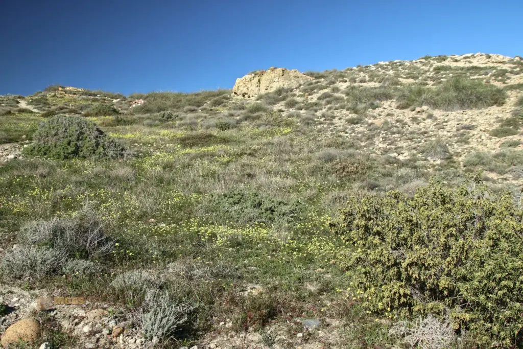 playa del algarrobico carboneras andalusien 1884