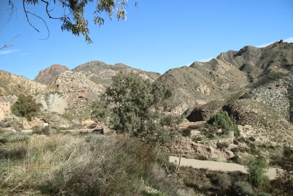 sierra de almagra bei cuevas del almanzora andalusien 2531