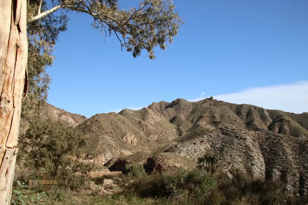 sierra de almagra bei cuevas del almanzora andalusien 2538