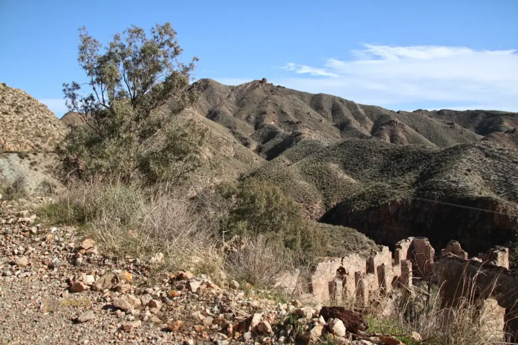 sierra de almagra bei cuevas del almanzora andalusien 2624
