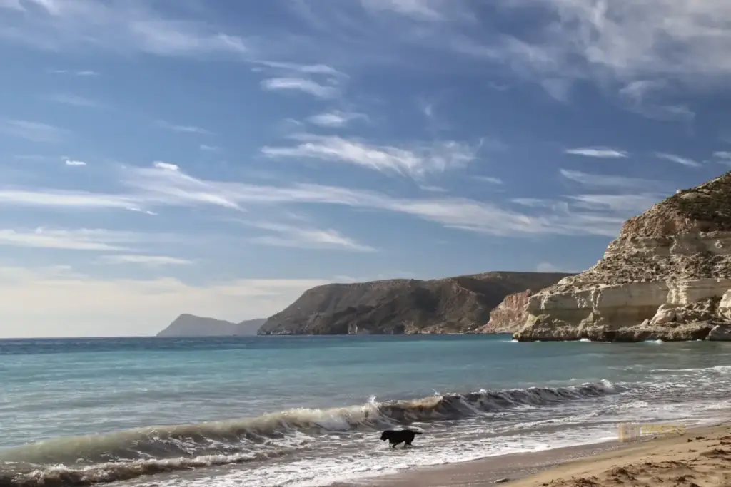 Am Playa de Agua Amarga in Andalusien 42 am playa de agua amarga andalusien 3834
