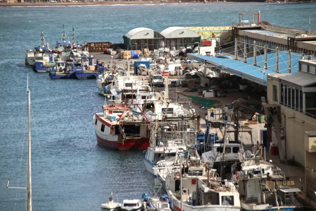 blick auf die lonja in aguilas_3499