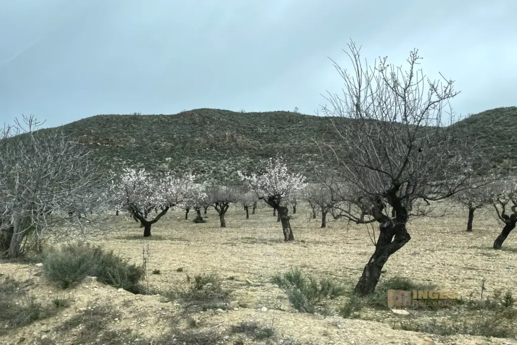 fahrt bei los molinas in andalusien 4126