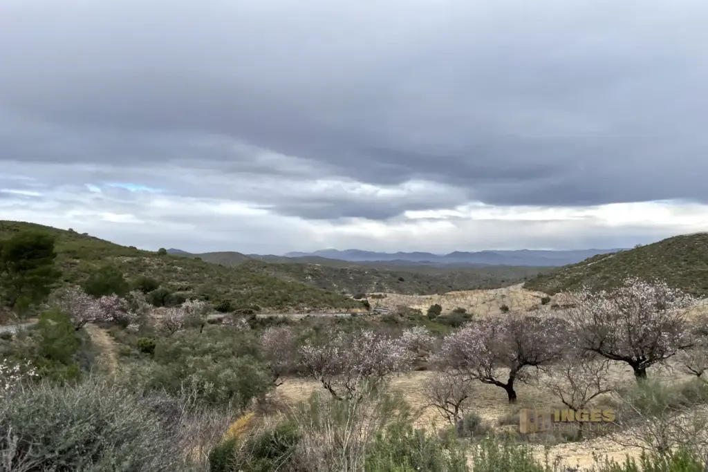 fahrt bei los molinas in andalusien 4144