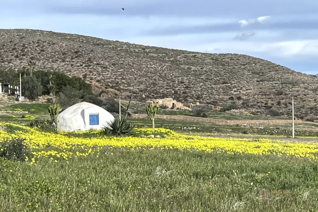 fahrt durch den naturpark cabo de gata andalusien 4012 H