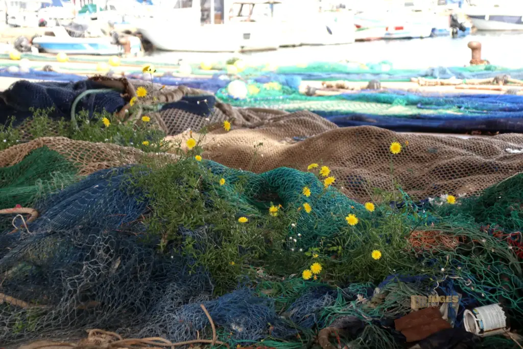 fischereihafen garrucha 4627