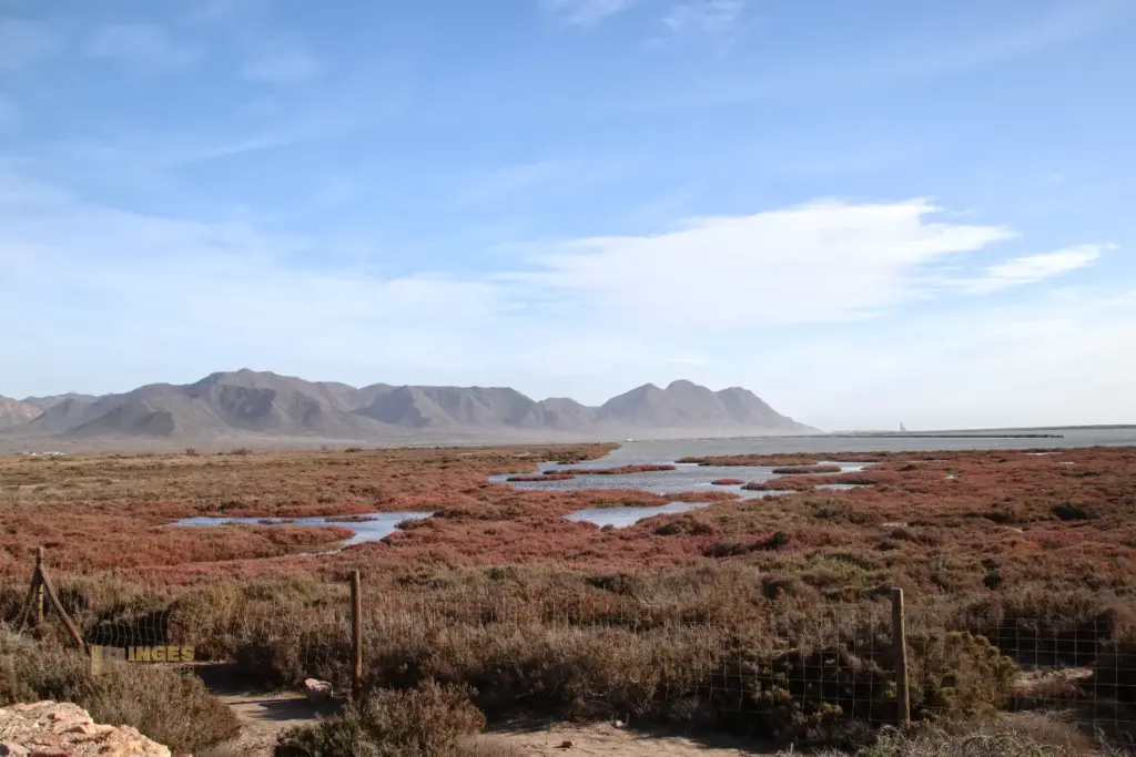 salinen im naturpark cabo de gata andalusien 4012
