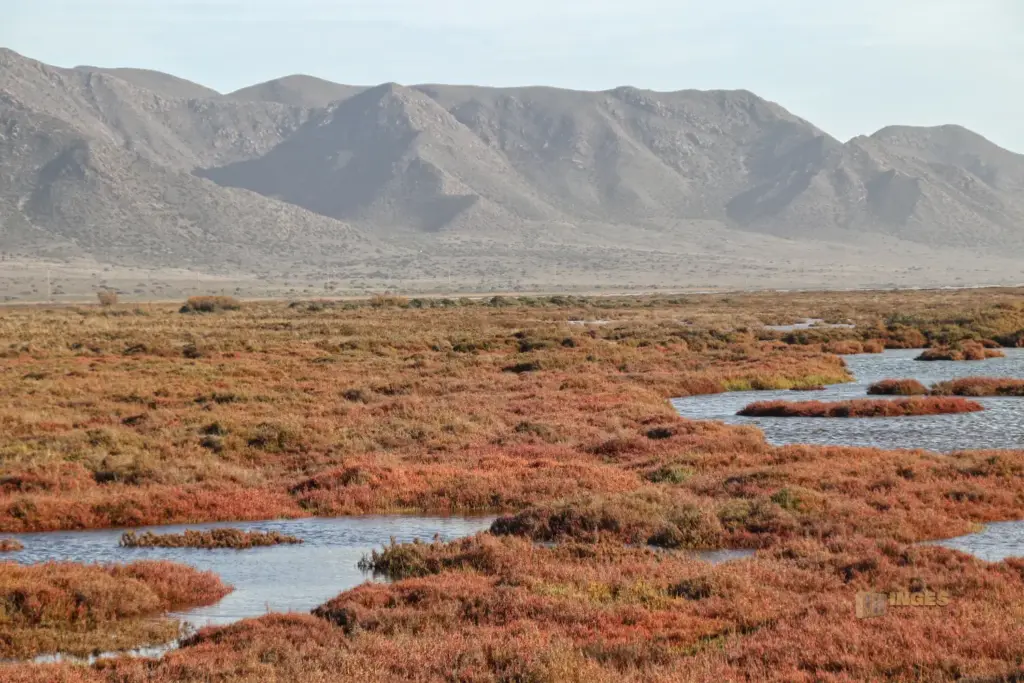 salinen im naturpark cabo de gata andalusien 4020