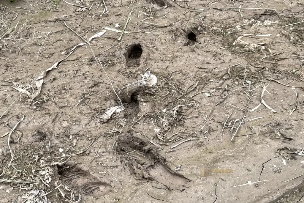 tja eingesunken im schlamm poblado minero el arteal 4276