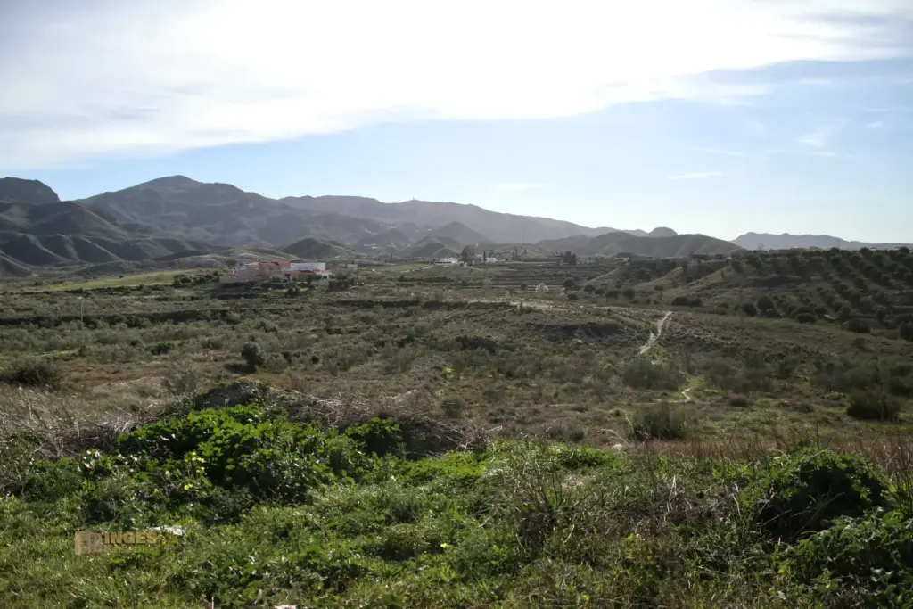 umland von turre andalusien 4164