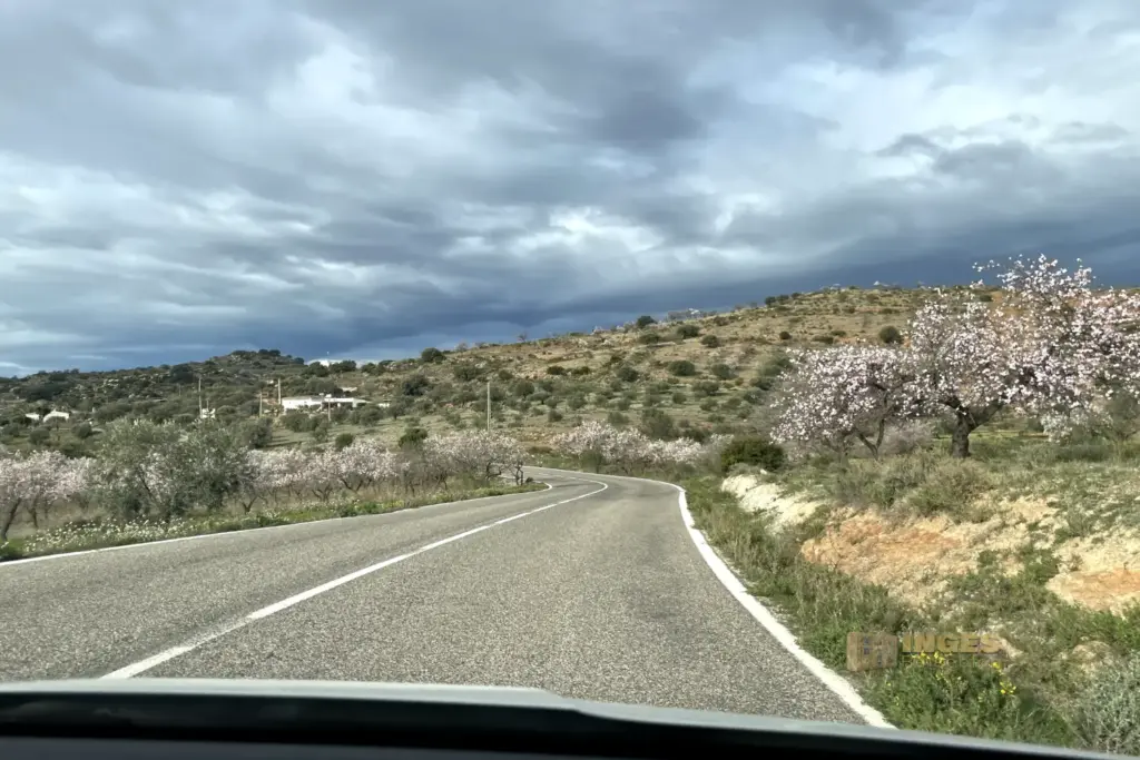 umland zwischen los gallardos und lubrin andalusien 4095