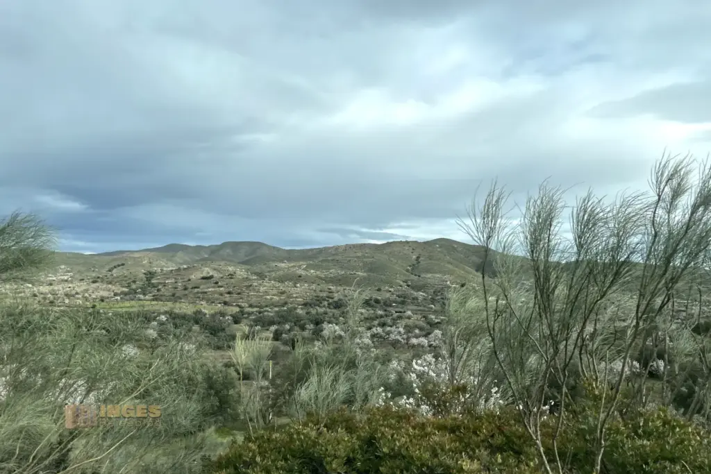 umland zwischen los gallardos und lubrin andalusien 4104