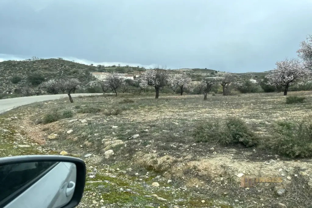 umland zwischen los gallardos und lubrin andalusien 4127
