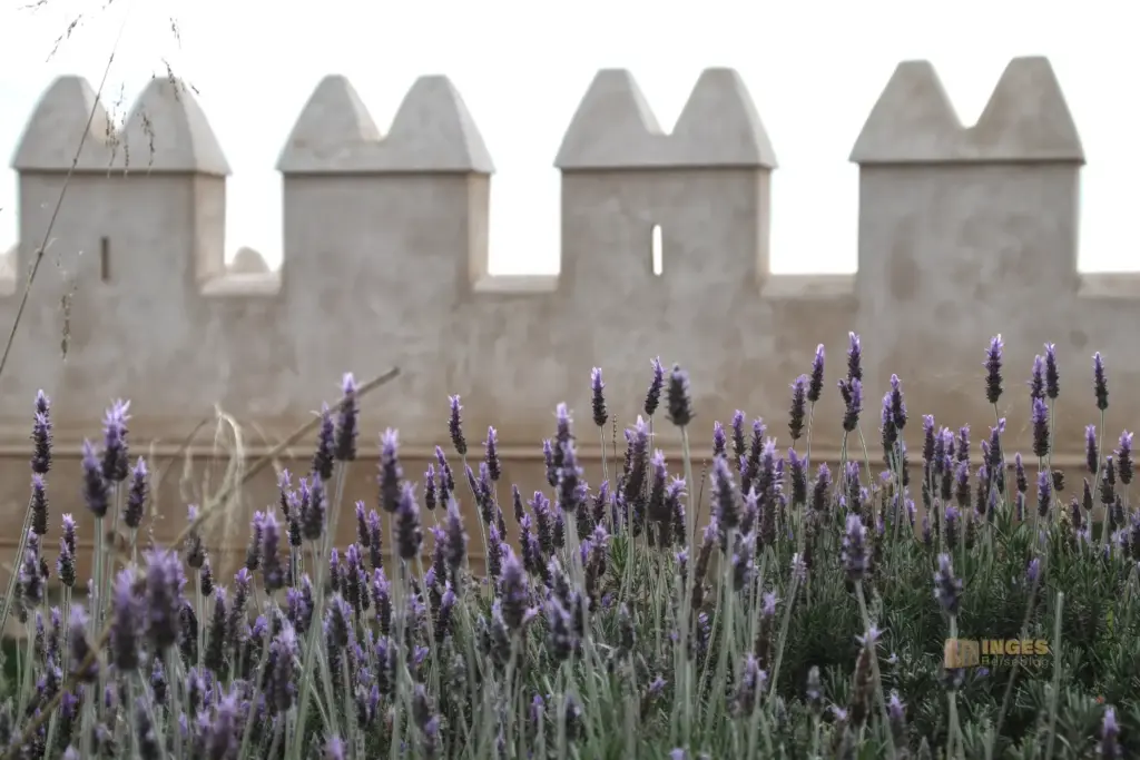 alcazaba almeria 5700