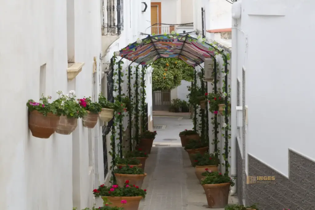 blumengeschmueckte gasse in lucainena de las torres 2429