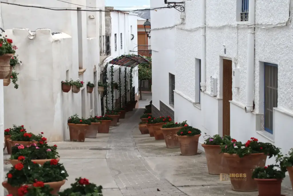 blumengeschmueckte gasse in lucainena de las torres 5179
