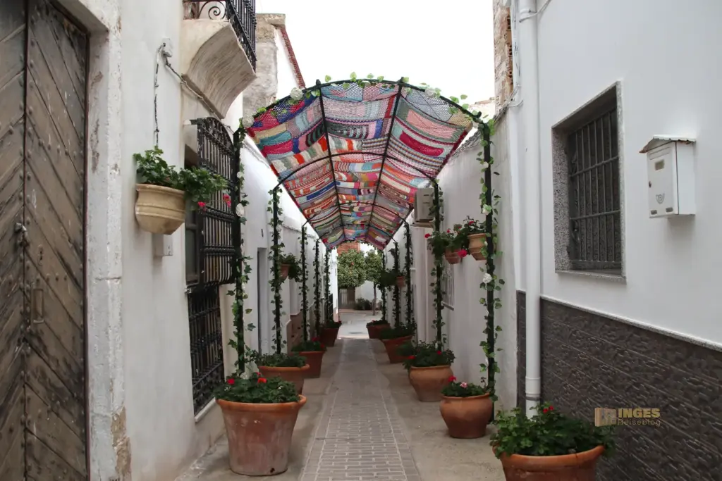 blumengeschmueckte gasse in lucainena de las torres 5199