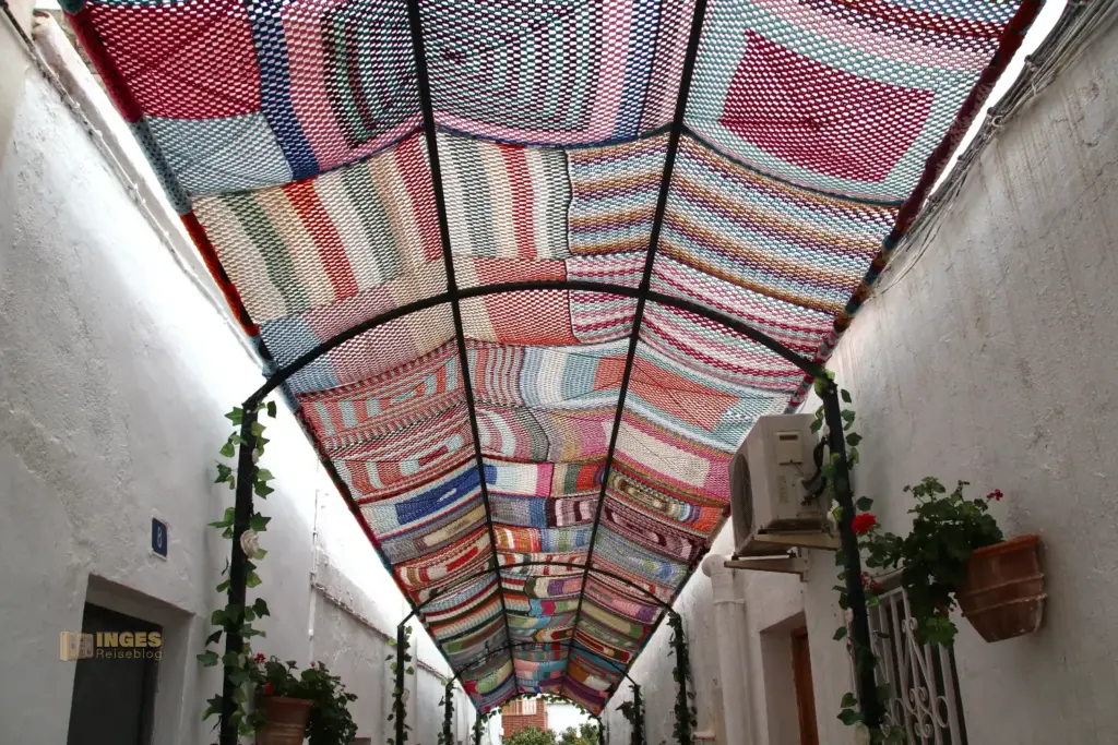 blumengeschmueckte gasse in lucainena de las torres 5204