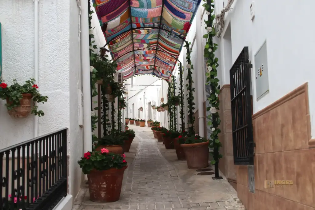 blumengeschmueckte gasse in lucainena de las torres 5210