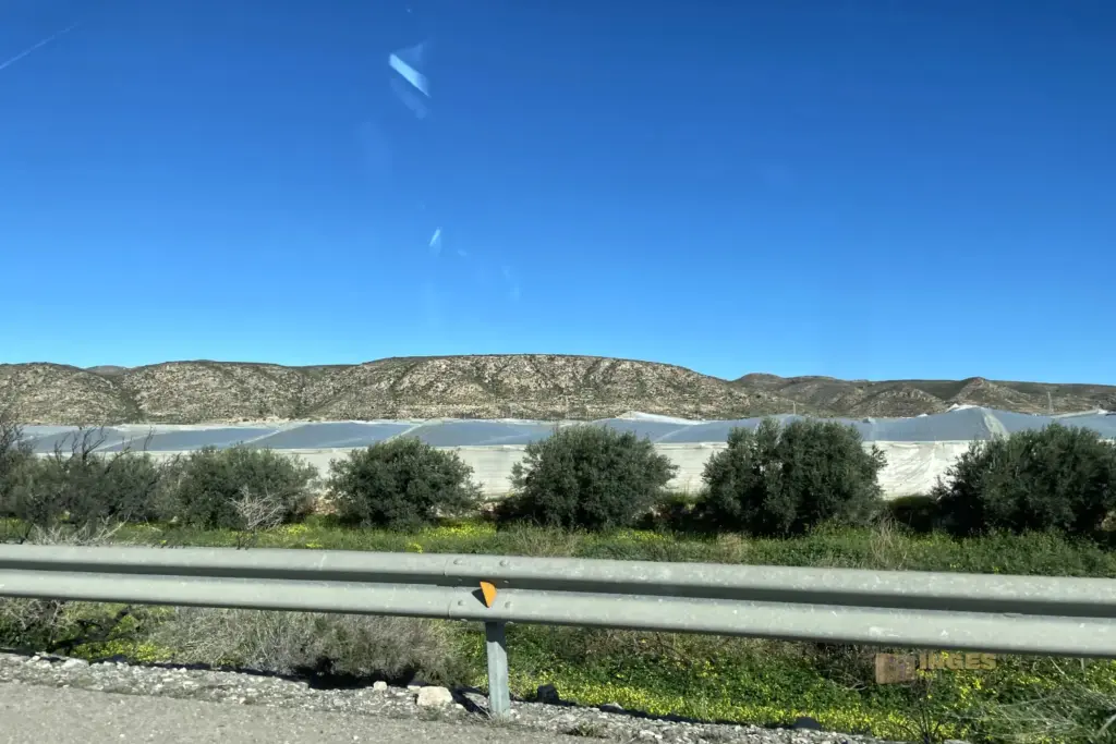 gewaechshaeuser um almeria 4778