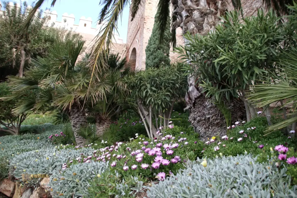in der alcazaba von almeria 5362
