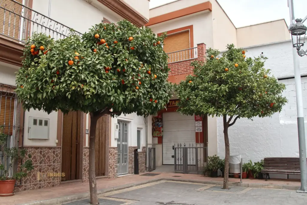 plaza del ayuntamiento lucainena de las torres 5213